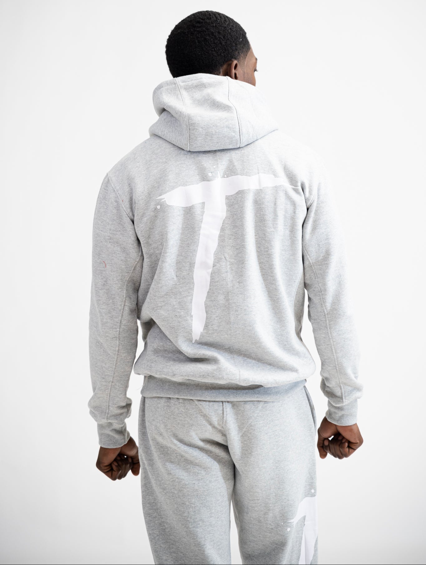 Big T Definition Panel Hoodie - Gray/White