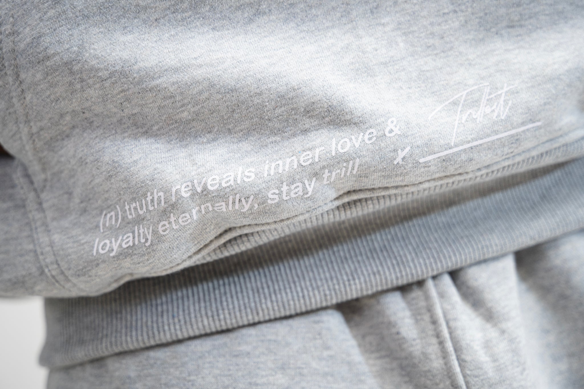 Big T Definition Panel Hoodie - Gray/White