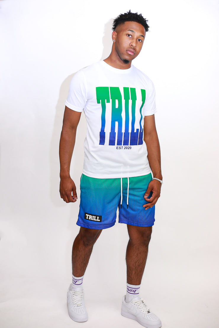 Ombre Trill Logo Tee - White\Green\Royal Blue