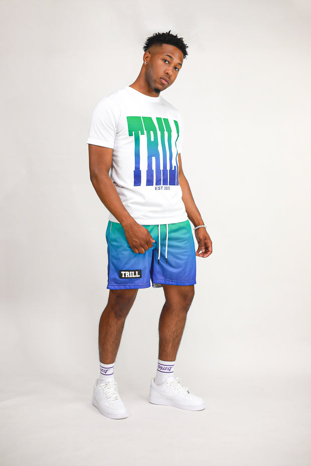 Ombre Mesh Shorts - Green\Royal Blue