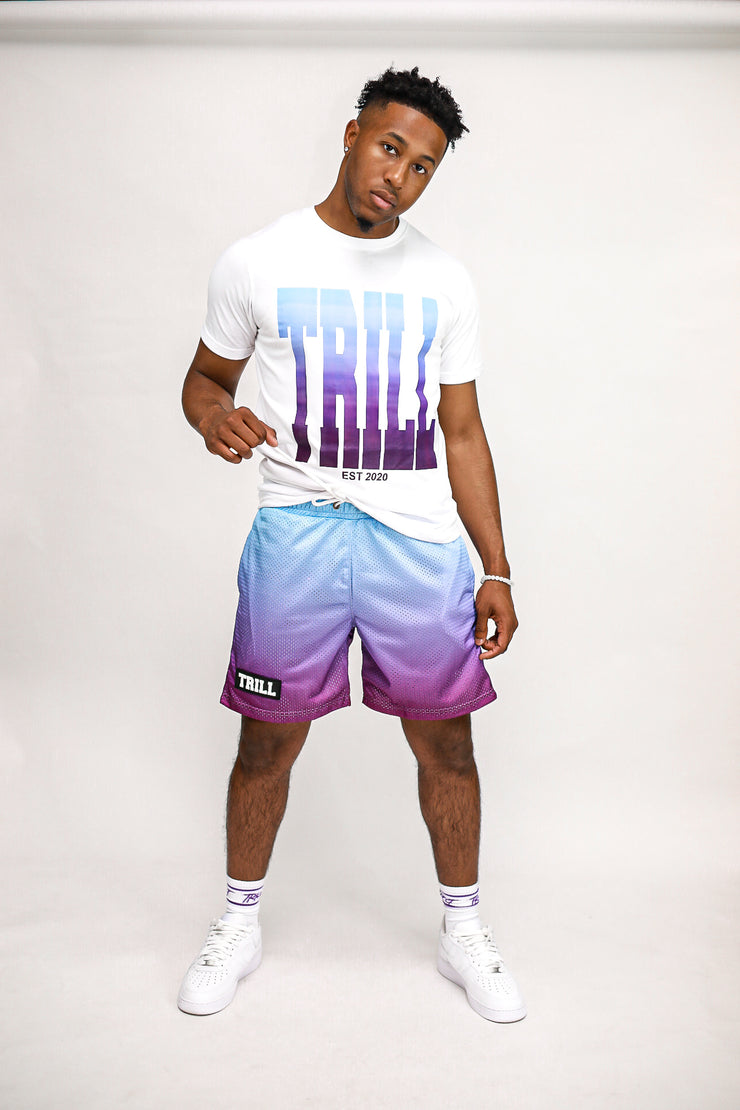 Ombre Mesh Shorts - Sky Blue\Purple