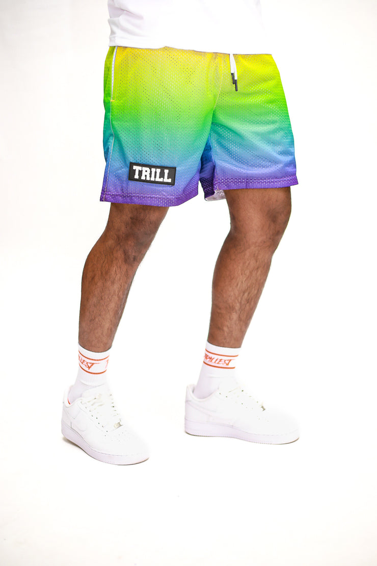 Ombre Mesh Shorts - Rainbow