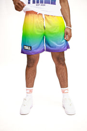 Ombre Mesh Shorts - Rainbow