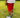 Trillest Red Cotton Fleece Shorts