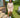 Trillest Crop Crewneck & Shorts Set - Sand