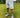 Trillest White Cotton Fleece Shorts
